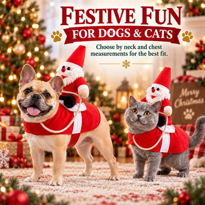 Santa Rider Pet Costume – Funny Christmas Photos