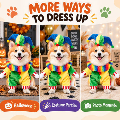 Jester Clown Dog Costume – Hat & Fake Arms