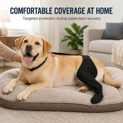 Rear Leg Recovery Sleeve with Paw Cover – Limits Licking