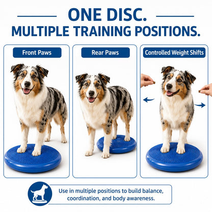Inflatable Dog Balance Disc – Home Balance Training