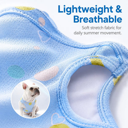 Frenchie Cooling Vest – Cooler Hot Summer Walks