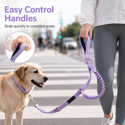 Hands-Free Bungee Dog Leash – Less Pulling on Runs