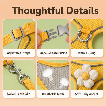 Daisy Pet Harness & Leash Set – Breathable Daily Comfort