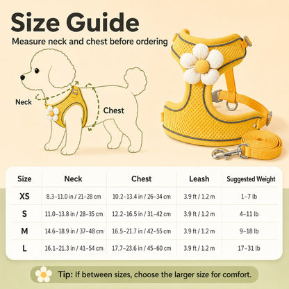 Daisy Pet Harness & Leash Set – Breathable Daily Comfort