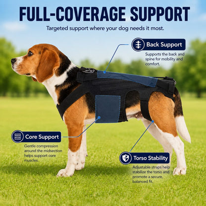 Dog Back Support Vest – Walking Stability