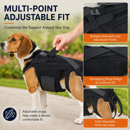 Dog Back Support Vest – Walking Stability