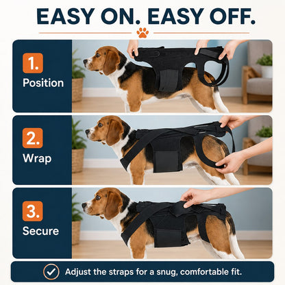 Dog Back Support Vest – Walking Stability