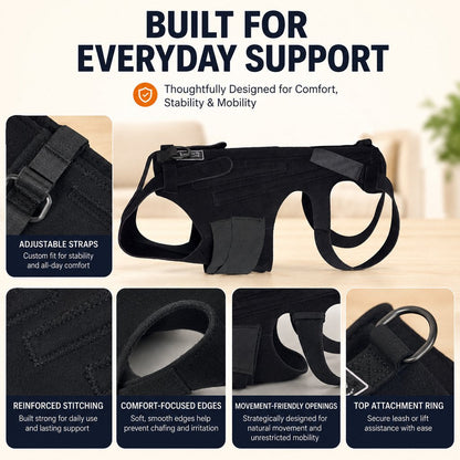 Dog Back Support Vest – Walking Stability