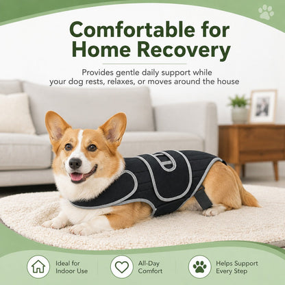 Dog Back Support Vest – For Long-Backed & Senior Dogs