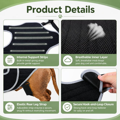 Dog Back Support Vest – For Long-Backed & Senior Dogs