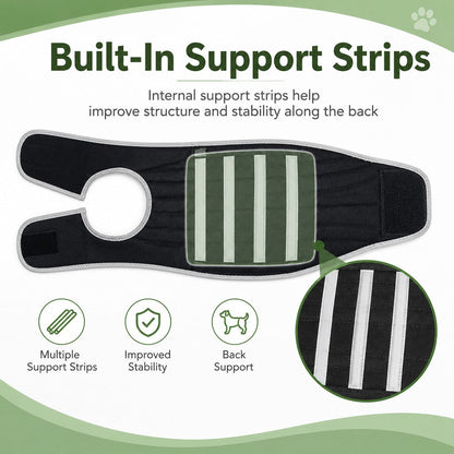 Dog Back Support Vest – For Long-Backed & Senior Dogs