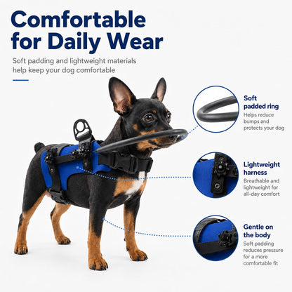 Blind Dog Bumper Halo Harness – Fewer Wall Bumps