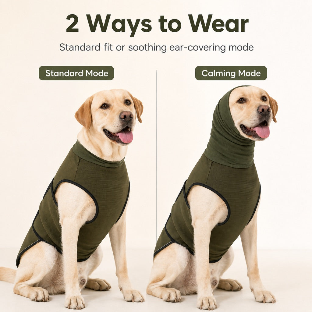 Dog Calming Shirt with Hood – Calming Comfort in Storms