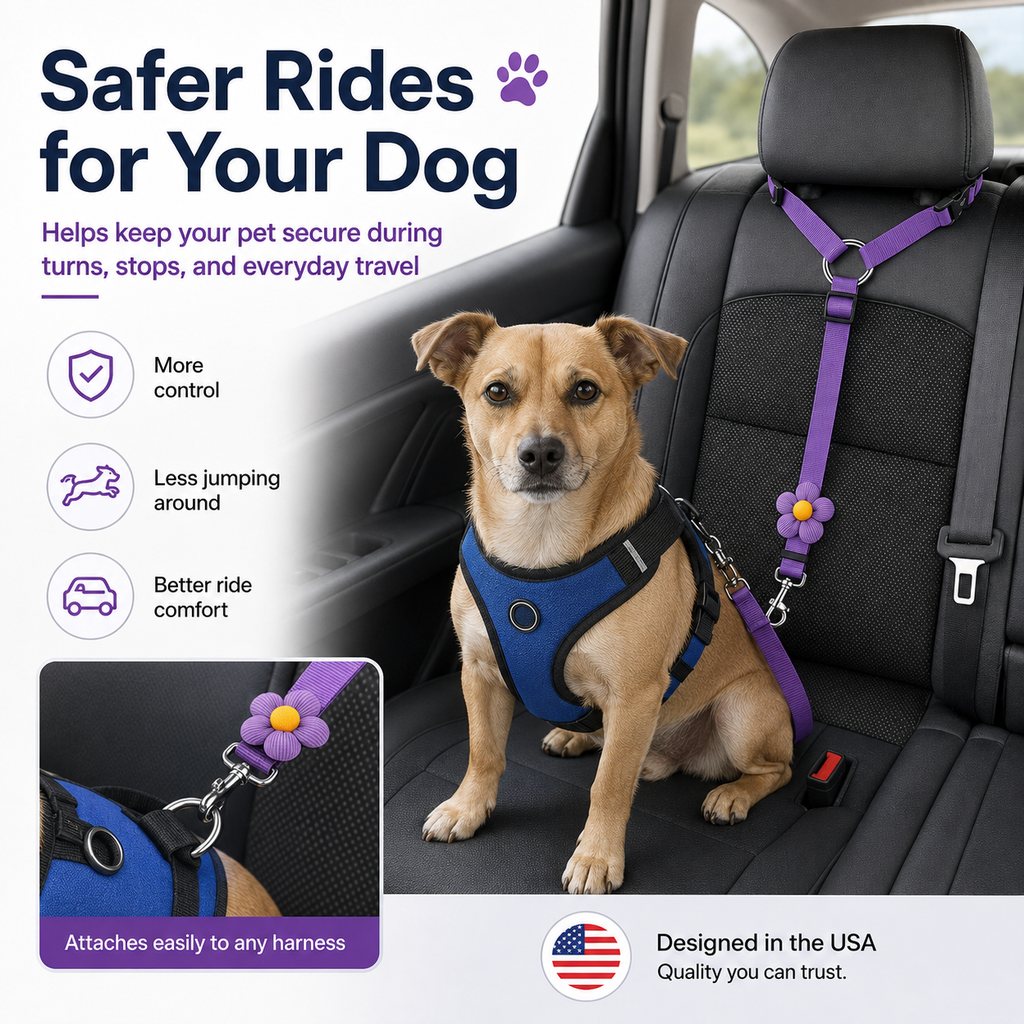 Secure Car Rides