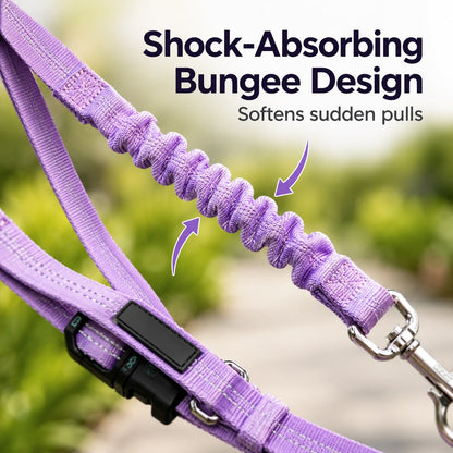 Hands-Free Bungee Dog Leash – Less Pulling on Runs