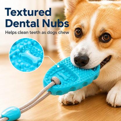 Suction Cup Dog Tug Toy – Saves Shoes, Beats Boredom