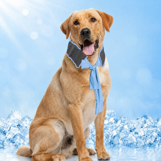 Dog Cooling Neck Wrap – Water-Activated Summer Relief