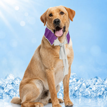 Dog Cooling Neck Wrap – Water-Activated Summer Relief