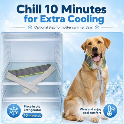 Dog Cooling Neck Wrap – Water-Activated Summer Relief