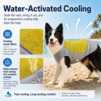 Dog Cooling Vest with Ice Pack Pocket – Summer Heat Relief