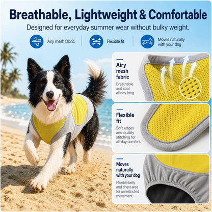 Dog Cooling Vest with Ice Pack Pocket – Summer Heat Relief