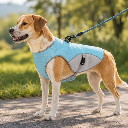 Wet-to-Cool Dog Cooling Jacket – Hot Weather Comfort