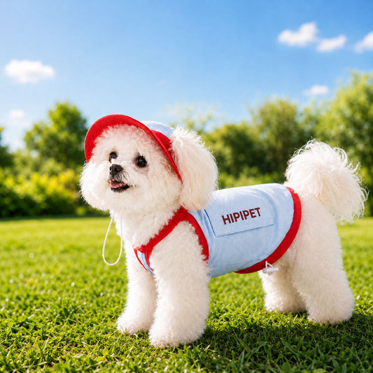 Dog Cooling Vest & Sun Hat Set – Cooler Summer Walks