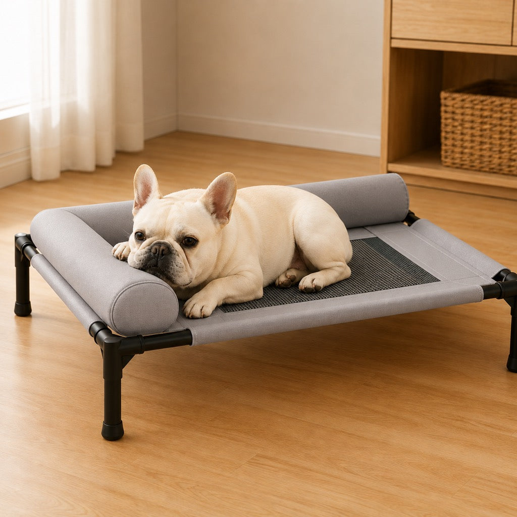 Elevated Dog Cot with Bolsters – Cooler, Breathable Naps