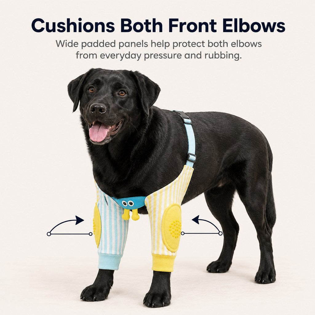 Padded Dog Elbow Sleeves – Hard Floor Protection