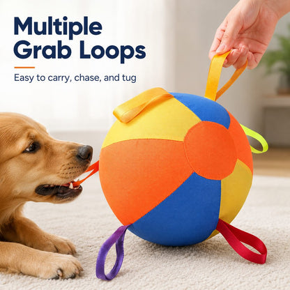 Inflatable Dog Play Ball – Oversized Chase & Tug Fun