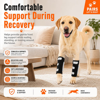 Dog Front Leg Brace – Stability for Weak or Injured Legs