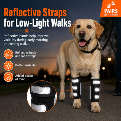 Dog Front Leg Brace – Stability for Weak or Injured Legs