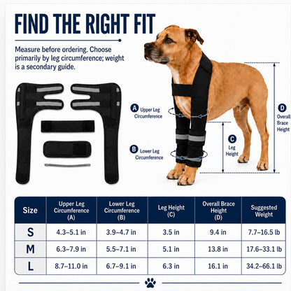 Double Front Leg Dog Brace – Steadier Walking