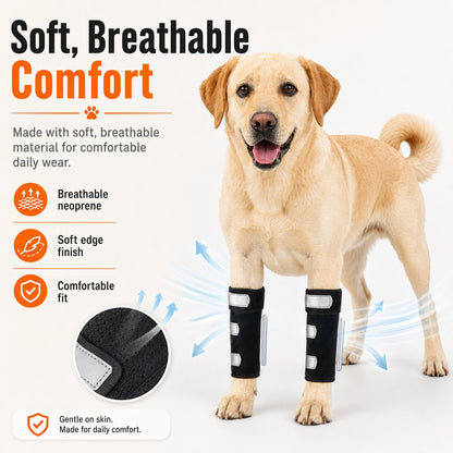 Dog Front Leg Brace – Stability for Weak or Injured Legs