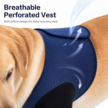 Dog Front Leg Recovery Sleeves – Cone-Free Anti-Lick