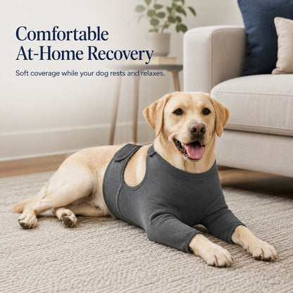 Dog Front Leg Recovery Suit – Helps Stop Licking