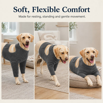 Dog Front Leg Recovery Suit – Helps Stop Licking