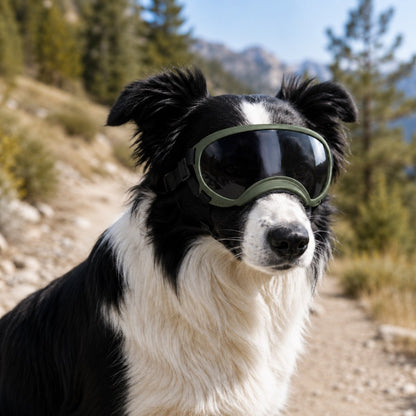 Photochromic Dog Goggles – Wind & Dust Protection