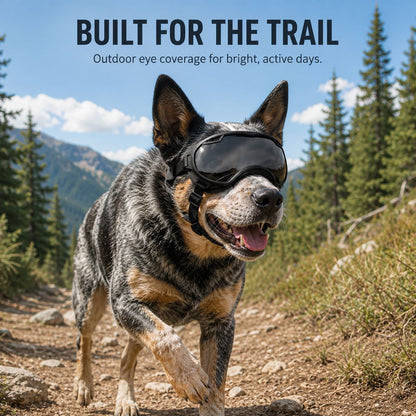 Outdoor Dog Goggles – Dust, Sand & Wind Protection