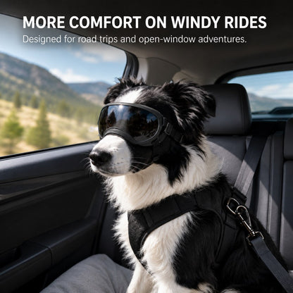 Photochromic Dog Goggles – Wind & Dust Protection