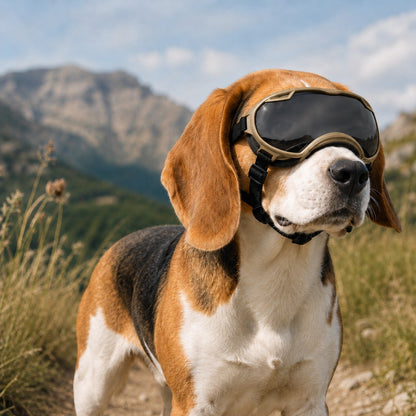 Outdoor Dog Goggles – Dust, Sand & Wind Protection