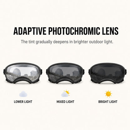 Photochromic Dog Goggles – Wind & Dust Protection