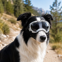 White / Black Speckle