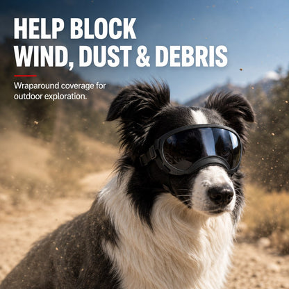 Photochromic Dog Goggles – Wind & Dust Protection