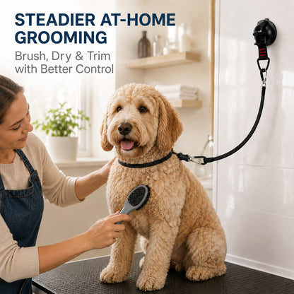 Suction Cup Grooming Tether – Easier Dog Baths