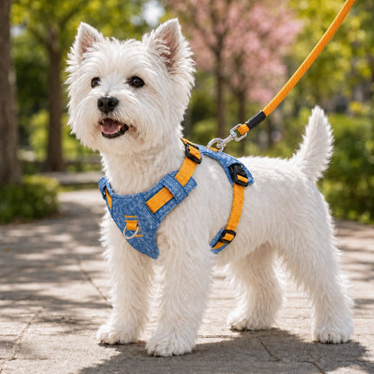 Denim No-Pull Dog Harness & Leash Set – Better Control