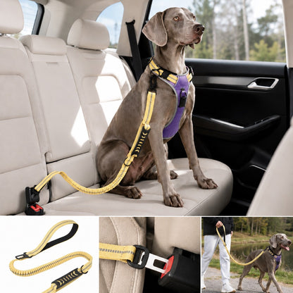 Dog Car Seat Belt Leash – Shock-Absorbing Safety