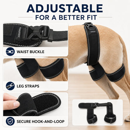 Dog Hip & Rear Leg Brace – Stability for Senior Dogs