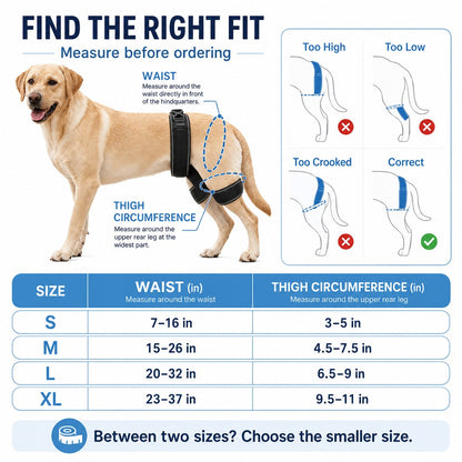 Dog Hip & Rear Leg Brace – Stability for Senior Dogs