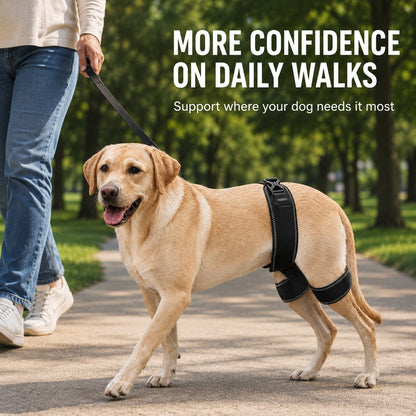 Dog Hip & Rear Leg Brace – Stability for Senior Dogs